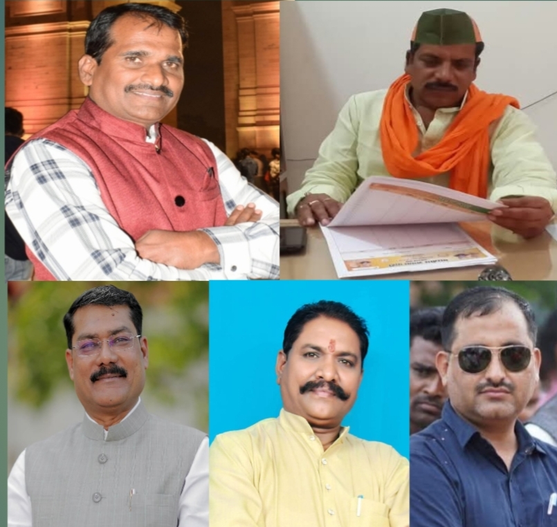 भाजपा जिला संगठन कोरबा का राजा कौन