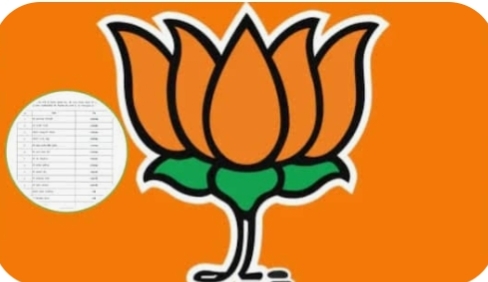 जिलाध्यक्ष मोहित जायसवाल ने जारी की अजा,जजा मोर्चा के जिला एवं मण्डलों की सूची