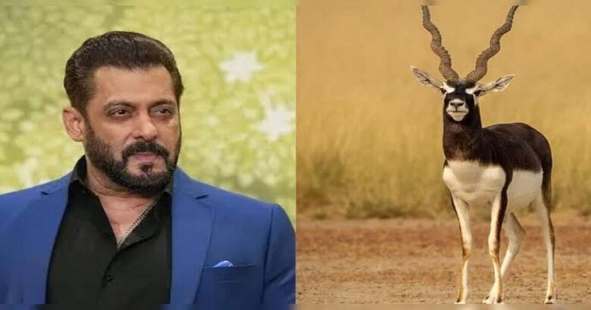“काला हिरण” मामले में दिल्ली हाई कोर्ट ने सलमान खान से किया जवाब-तलब