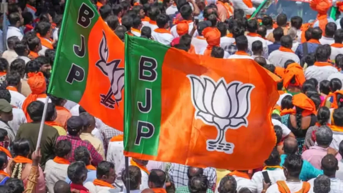 Chhattisgarh BJP: प्रदेश स्तर पर जनजातीय गौरव दिवस के लिए भाजपा ने की पदाधिकारियों की नियुक्ति, देखें पूरी सूची